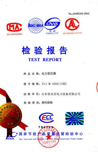 滁州电力变压器检测合格报告